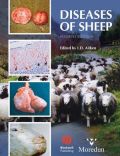 Diseases of Sheep, 4th Edition (  -   )